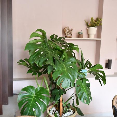 Casa Enetiko Hotel Chania  Eksteriør billede